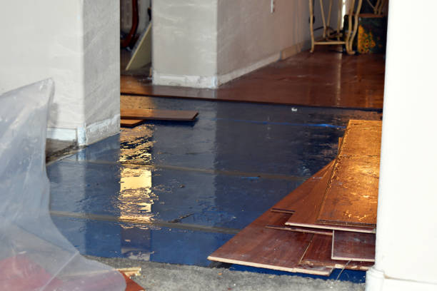 Professional Emergency Water Damage Restoration technician working in Garwood, TX